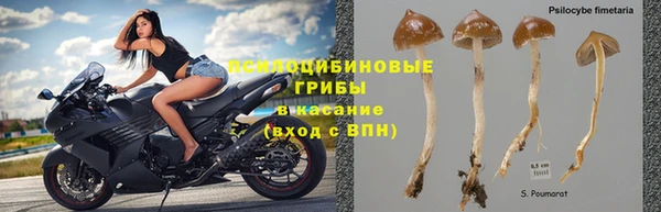 кокс Кукмор