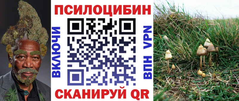 Псилоцибиновые грибы прущие грибы  Красавино 